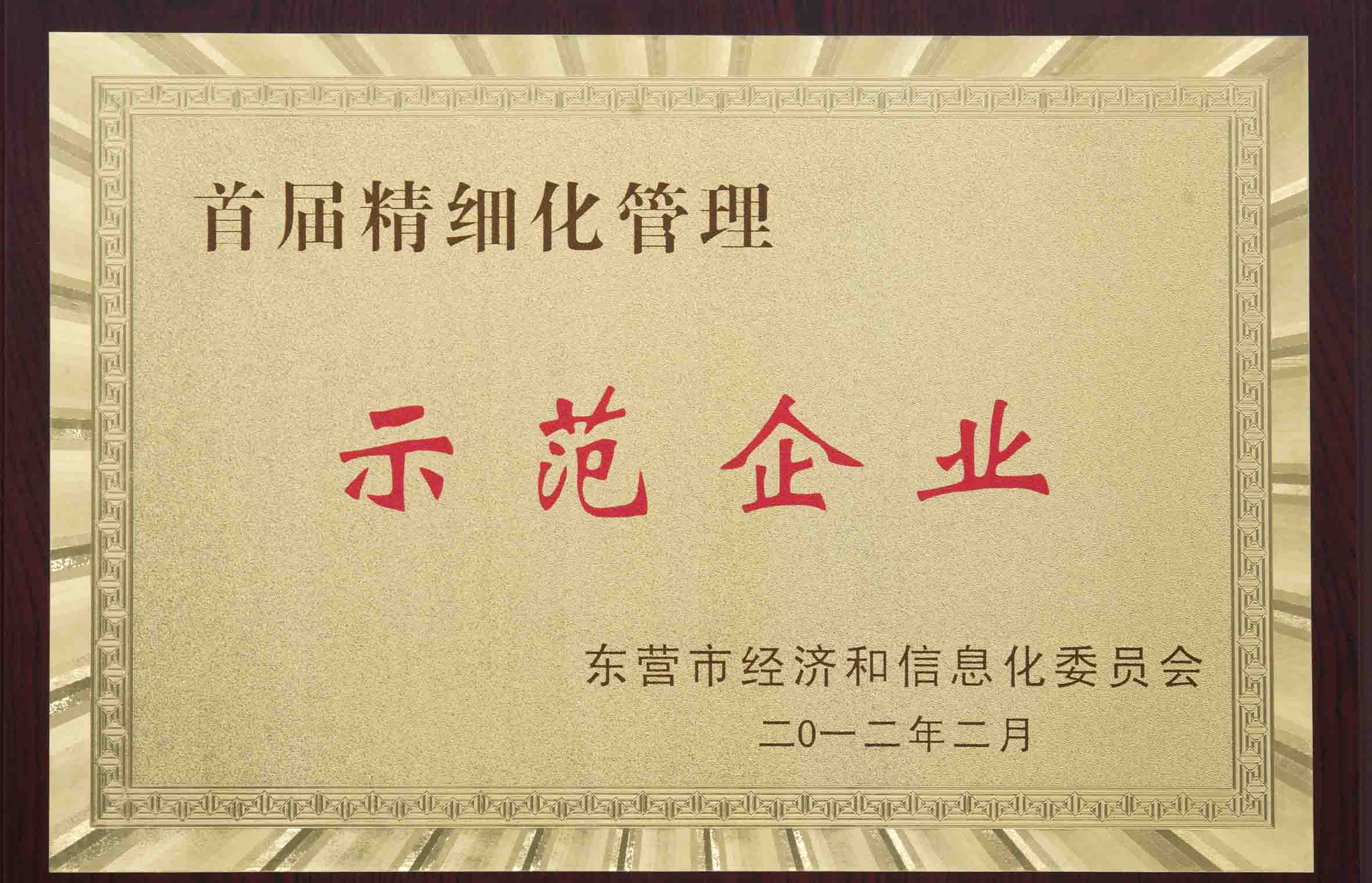 6    经济和信息化委员会示范企业